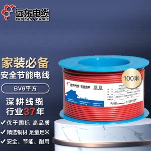 远东电缆（FAR EAST CABLE）电线电缆  YJV22-4×6
