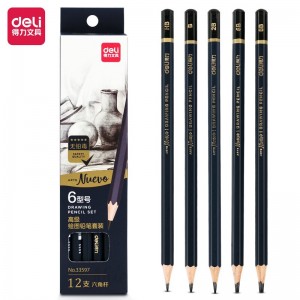 得力(deli)12支素描铅笔 专业绘画美术铅笔 六角杆软中硬炭笔 HB/B/2B/4B/6B/8B 33597