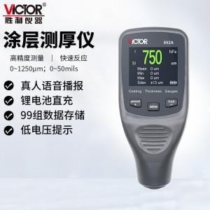胜利仪器（VICTOR）涂层测厚仪 油漆 铁基 铝基两用 漆膜仪 厚度测量仪 VC852A